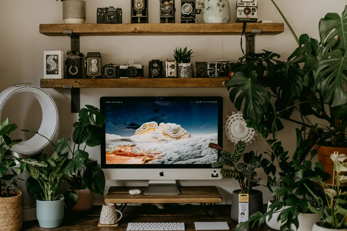 Doradztwo korytarzowe