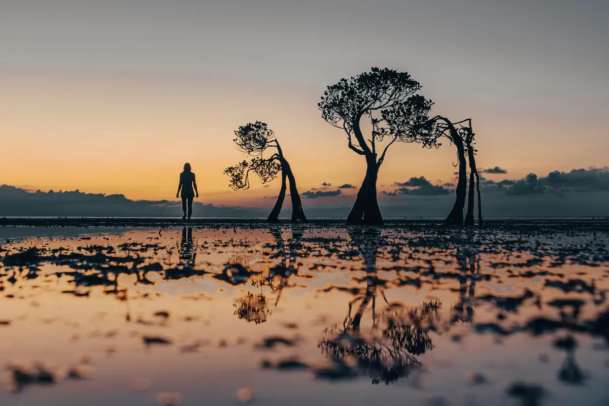 Ochrona prawna hubów